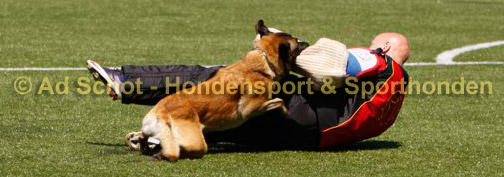_MG_2053Roos_web.jpg